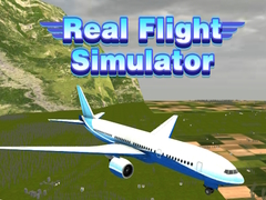 खेल वास्तविक उड़ान Simulator ऑनलाइन