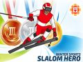 खेल सर्दी खेल: स्लalom नायक ऑनलाइन