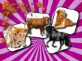 खेल गृह पशु मेमोरी चुनौती ऑनलाइन