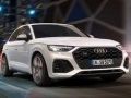 खेल Audi SQ5 TDI स्लाइड ऑनलाइन
