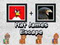 खेल हैट जेम्स भग escape ऑनलाइन