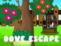 खेल कबूतर की Escape ऑनलाइन