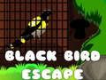 खेल काले पक्षी कीEscape ऑनलाइन