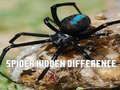 खेल spider: अंतर खोजें ऑनलाइन