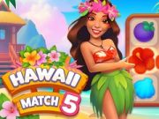 खेल Hawaii Hoʻohui 5 ऑनलाइन