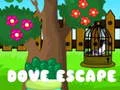 खेल कबूतर की Escape ऑनलाइन खेल कबूतर की Escape ऑनलाइन