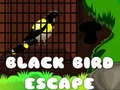 खेल काले पक्षी कीEscape ऑनलाइन