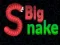 खेल बड़ी साँप ऑनलाइन