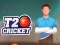 खेल T20 क्रिकेट ऑनलाइन