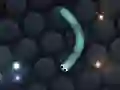 खेल Slither.io ऑनलाइन