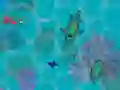 खेल Sharkz.io ऑनलाइन