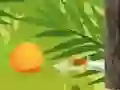 खेल उष्णकटिबंधीय कटर ऑनलाइन खेल उष्णकटिबंधीय कटर ऑनलाइन