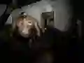 खेल मौन शरण ऑनलाइन