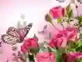 खेल तितलियों का पहेली ऑनलाइन खेल तितलियों का पहेली ऑनलाइन