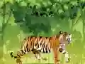 खेल गुस्सैल बाघ रंगना ऑनलाइन