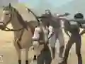 खेल घुड़सवारी सिम्युलेटर ऑनलाइन