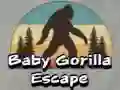 खेल बेबी गोरिल्ला Escape ऑनलाइन खेल बेबी गोरिल्ला Escape ऑनलाइन