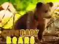 खेल प्यारे बेबी भालू ऑनलाइन