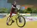 खेल BMX एक्सट्रीम 3D स्टंट ऑनलाइन