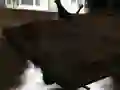 खेल ड्रिफ्ट Z ऑनलाइन खेल ड्रिफ्ट Z ऑनलाइन
