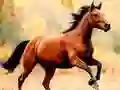 खेल घोड़े की स्लाइड ऑनलाइन
