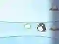 खेल हिम पुरुष बनाम पेंगुइन ऑनलाइन खेल हिम पुरुष बनाम पेंगुइन ऑनलाइन