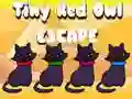 рдЦреЗрд▓ Tiny Red Owl Escape рдСрдирд▓рд╛рдЗрди рдЦреЗрд▓ Tiny Red Owl Escape рдСрдирд▓рд╛рдЗрди