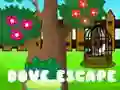 खेल कबूतर की Escape ऑनलाइन खेल कबूतर की Escape ऑनलाइन