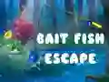 खेल Bait Fish Escape ऑनलाइन