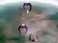 рдЦреЗрд▓ Scape Shotter рдСрдирд▓рд╛рдЗрди рдЦреЗрд▓ Scape Shotter рдСрдирд▓рд╛рдЗрди