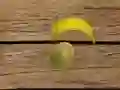 खेल फलों की शूटिंग ऑनलाइन
