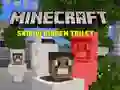 खेल Minecraft स्कीबिडी छिपा हुआ टॉयलेट ऑनलाइन