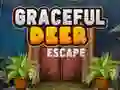 खेल सुंदर हिरण Escape ऑनलाइन खेल सुंदर हिरण Escape ऑनलाइन