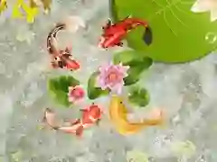 खेल कोई मछली तालाब ऑनलाइन खेल कोई मछली तालाब ऑनलाइन