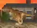 खेल LA रेएक्स ऑनलाइन