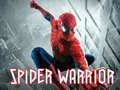 खेल SPIDER योद्धा ऑनलाइन