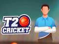 खेल T20 क्रिकेट ऑनलाइन
