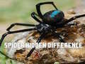 खेल spider: अंतर खोजें ऑनलाइन